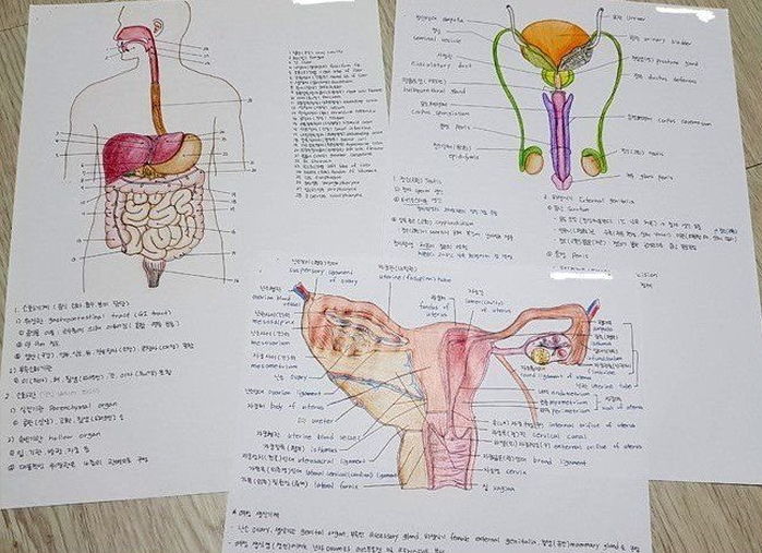 ‘생명’ 살리는 간호사 되고픈 학생들의 엄청난 ‘노력’이 담긴 필기 노트 상태