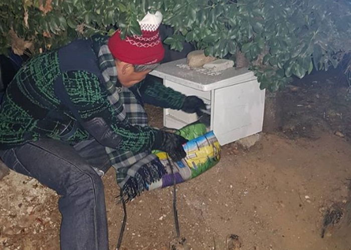 한파 속 폐지 줍다가 ‘길냥이’에게 어렵게 모은 박스 양보한 할아버지