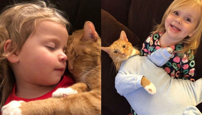 반려묘 잃고 슬픔에 잠긴 소녀에게 전 세계 집사들이 ‘위로의 편지’를 보냈다