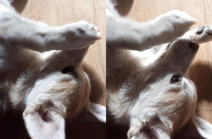 ‘짱절미’ 인기 줄어 속상하다는 댓글에 ‘절미 언니’가 한 현명한 대답