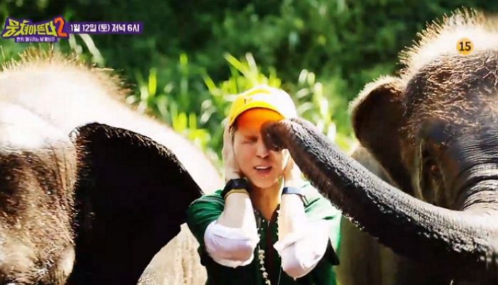 코끼리에 강렬한 ‘뽀뽀’ 받고 ‘시력’ 잃은(?) 송민호