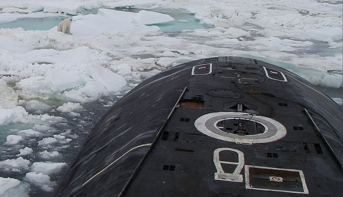 ‘굶주림’에 지쳐 거대 잠수함 ‘먹이’로 착각하고 물어뜯은 북극곰