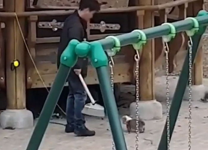 손바닥만한 새끼 강아지 발로 차고 목 조르며 학대한 남성