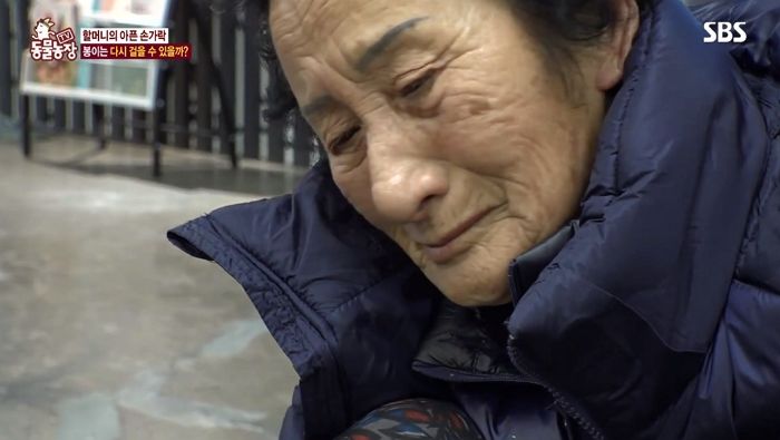 마비된 다리 질질 끌고 다니며 피 흘리는 봉이 가여워 눈물 쏟아내는 할머니