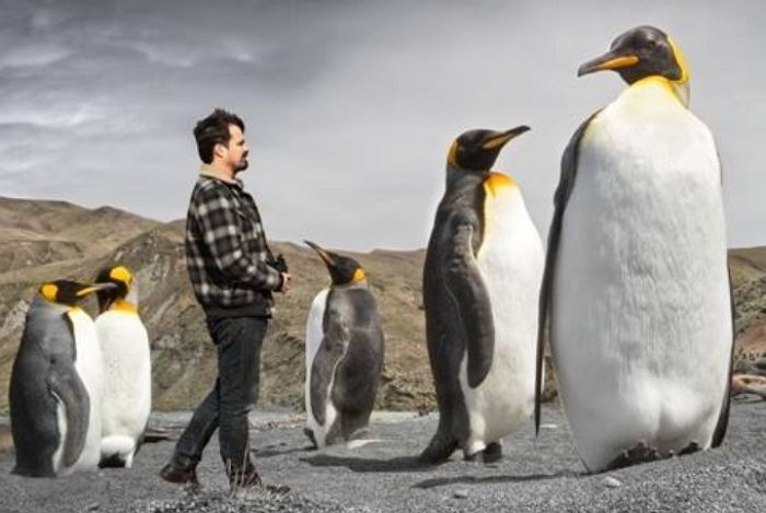 과거 남극에는 ‘키 2m+몸무게 113kg’이 넘는 거대 펭귄이 존재했다