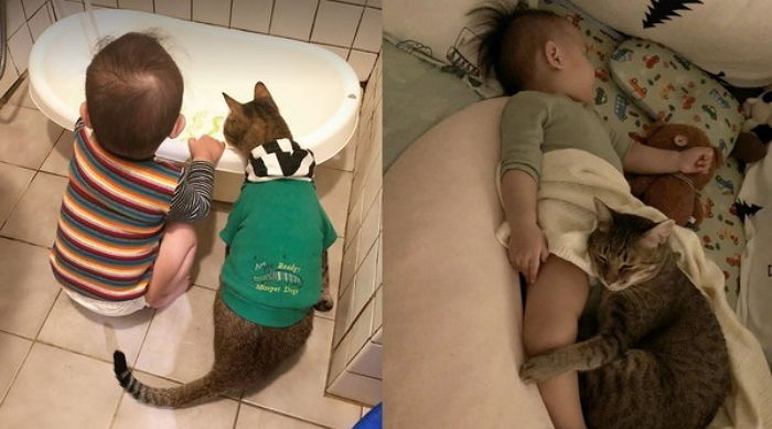 아기만 졸졸 따라다니며 24시간 지켜주는 껌딱지 냥이 보디가드