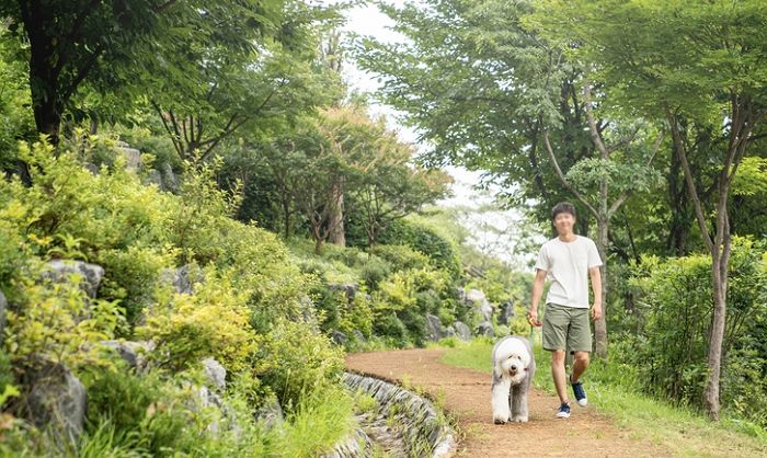 “서울시, 미세먼지 대책으로 나무 ‘1천만’ 그루 심는다”