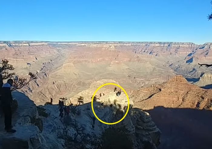 “의식 돌아오기 전까지는 미국서 치료받고 싶다”···그랜드캐니언 사고 당사자 가족 입장