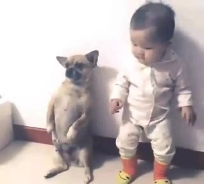 엄마에게 혼난 뒤 풀 잔뜩 죽은 ‘꼬마 주인’ 위해 함께 벌서 준 댕댕이