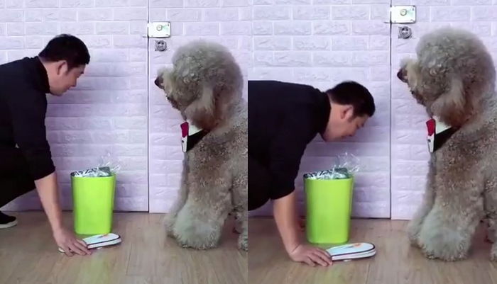 자꾸 쓰레기통 뒤지는 댕댕이 나쁜 버릇 고치게 한 주인의 ‘특별 교육법’