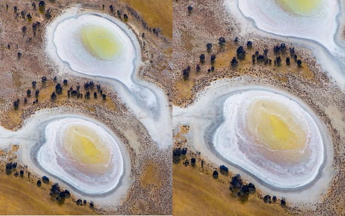 인스타서 ‘좋아요 1만개’ 받아 사진작가도 깜짝 놀라게 만든 ‘계란 프라이’