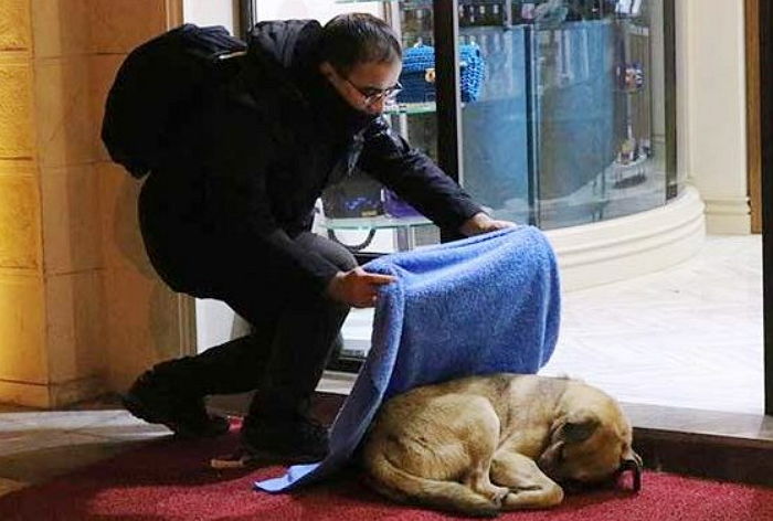주인에게 버림받고 울다 잠든 ‘유기견’ 그냥 못 지나치고 담요 덮어준 남성