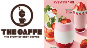 싱싱카페 이미지