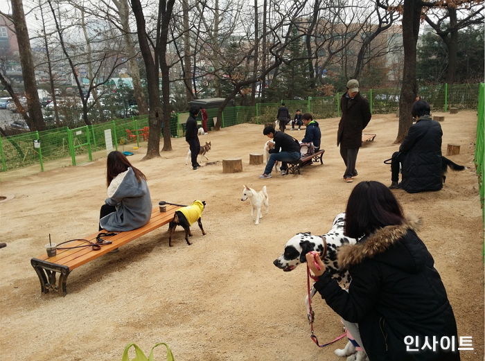 서울시, 반려견 놀이터 개장해 설 연휴에도 운영한다