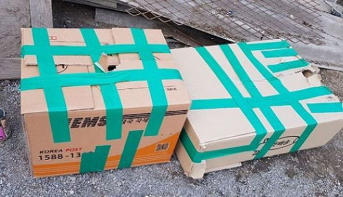 청테이프로 꽁꽁 묶인 상자를 열자 강아지들이 고개를  내밀었다