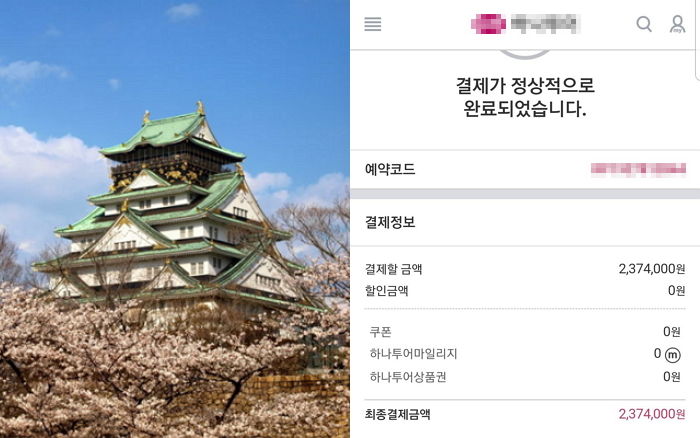 통장 탈탈 털어 결혼 30주년 맞은 부모님 일본 벚꽃 여행 보내준 효자