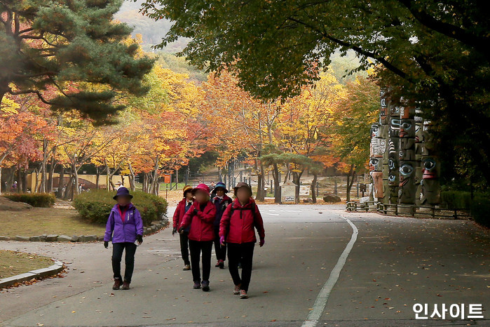 인사이트 / 사진=박찬하 기자 chanha@