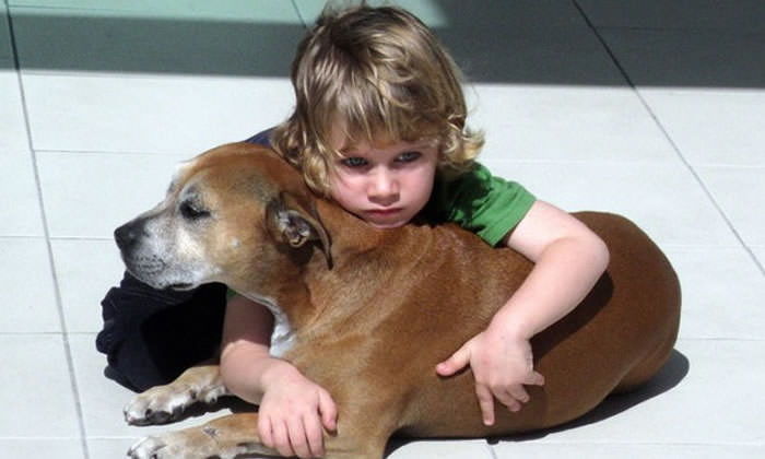 반려견 안락사 시키는 부모님을 울린 6살 아들의 ‘강아지 사는 이유’