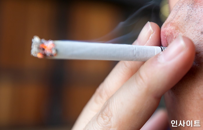 인사이트 / 사진=박찬하 기자 chanha@