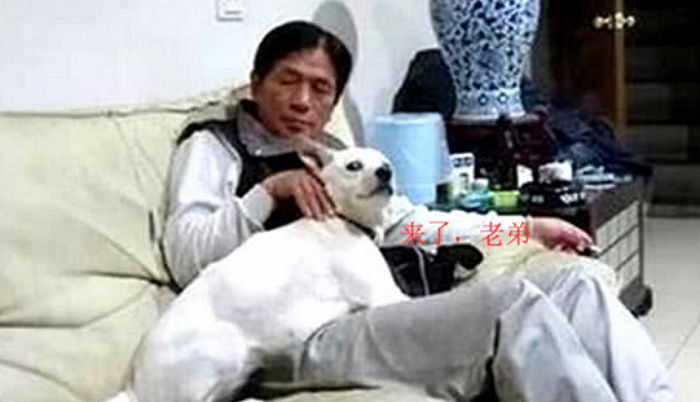 “입양은 절대 안 돼” 개 싫어하던 아빠가 1년 후 보인 극명한 온도차