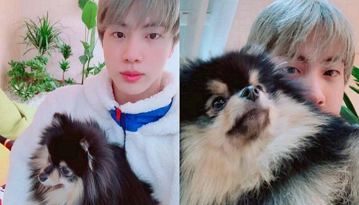 귀염둥이 탄이 품에 꼭 안은 채 팬들에게 설 인사 건넨 ‘쏘스윗’ 방탄 진