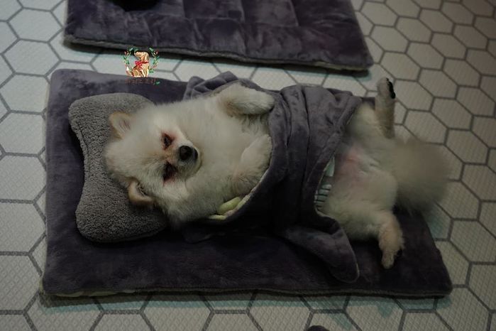 꿈나라유치원 이미지