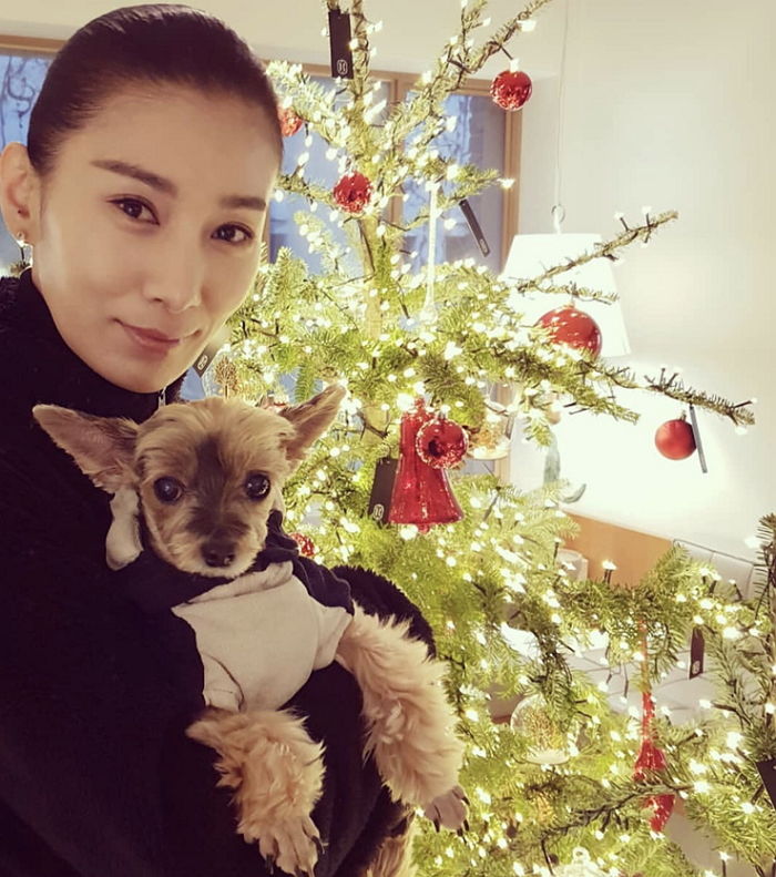 ‘동물’ 사랑하는 김서형이 인스타 프로필에 고정해놓은 감동 글