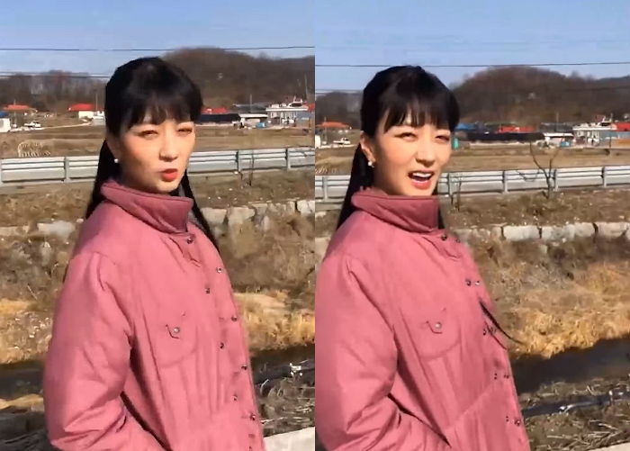 할머니 댁에서 세젤귀 ‘시골 댕댕이’ 만나 라이브 방송한 에이핑크 보미