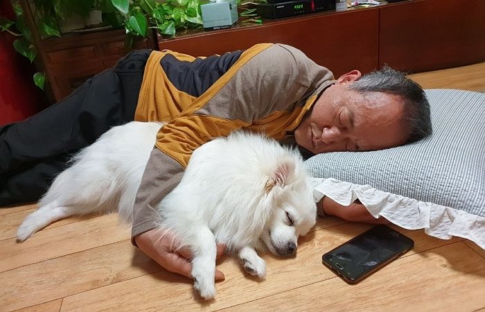 “집에서 키우면 갖다 버린다”고 하신 아빠가 이번 설에 강아지를 보고 난 뒤 한 행동