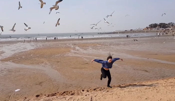 관절 나갈 듯 격렬한 ‘몸짓’으로 갈매기 불러 모으는 ‘갈매기 지휘녀’