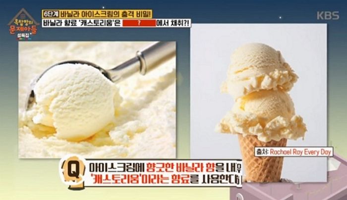 달콤한 ‘바닐라 아이스크림’ 향기는 사실 비버의 ‘항문’ 냄새다