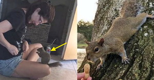 은인 이미지