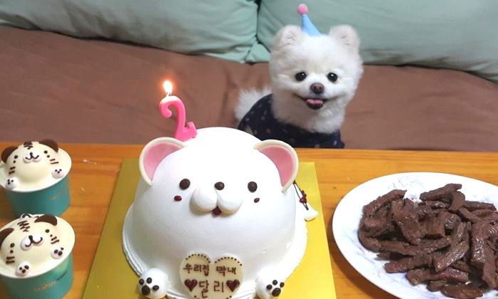 1년에 딱 ‘한 번’뿐인 생일에 절대 놓쳐서는 안 될 ‘꿀 혜택’ 7