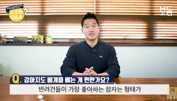 “댕댕이도 주인처럼 ‘베개’에 얼굴 기대고 자야 꿀잠 잔다”
