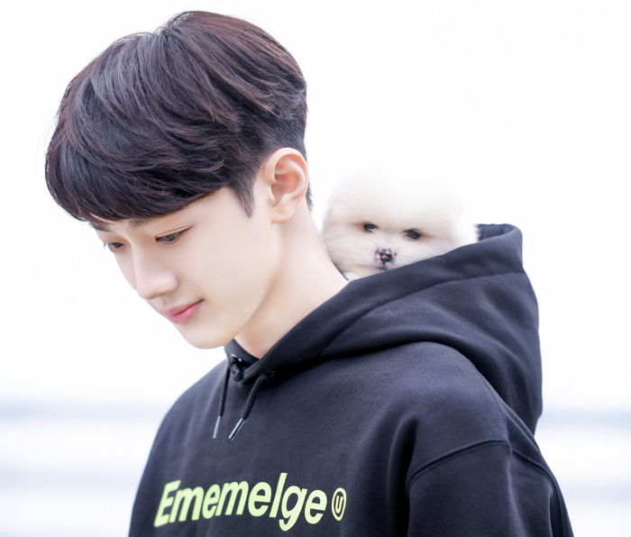 라이관린 형아랑 꼭 붙어있으려고 후드티에 들어간 ‘솜뭉치’ 댕댕이