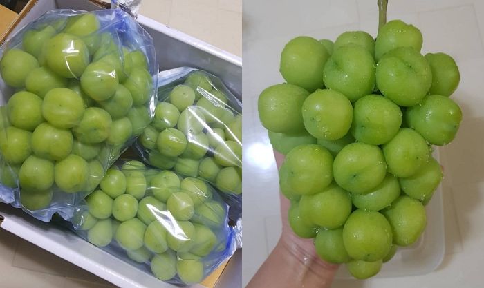 신맛 ‘1도’ 없이 달달 과즙 팡팡 터지는 ‘망고포도’ 3배 더 맛있게 먹는 법