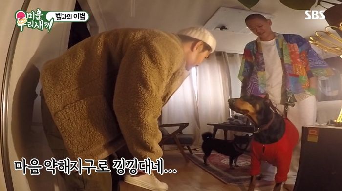 “낑낑대며 문만 바라봐”···견주들 울린 배정남이 떠나자 반려견 벨이 보인 반응