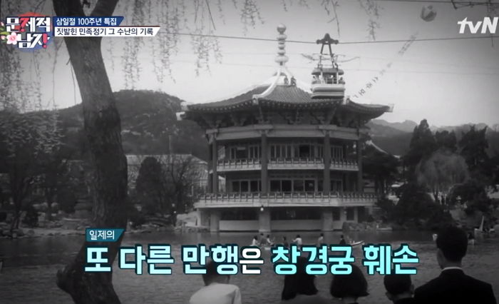 예쁜 여의도 벚꽃길이 사실은 ‘가슴 아픈 장소’인 이유