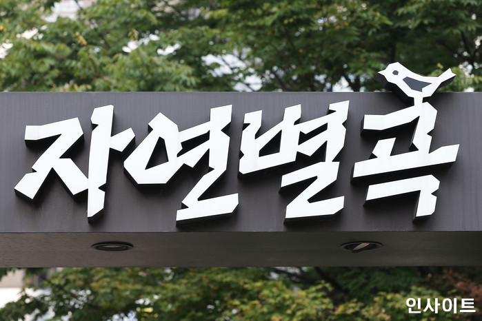 인사이트 / 사진=박찬하 기자 chanha@