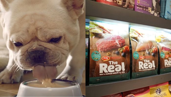 댕댕이에게 안심하고 먹일 수 있는 ‘토종’ 펫푸드 인기 사료 4