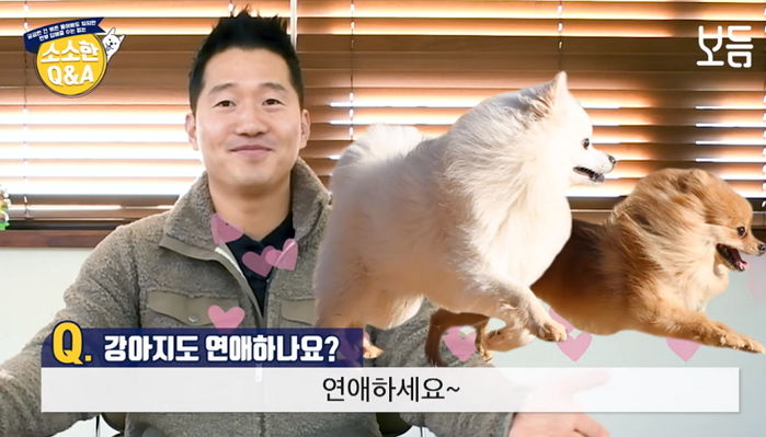 강아지도 마음에 든 이성에게 ‘썸’ 타는 감정 느낀다