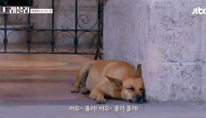 쿠바 길거리서 ‘댕댕이’한테도 ‘인싸력’ 발휘한 류준열