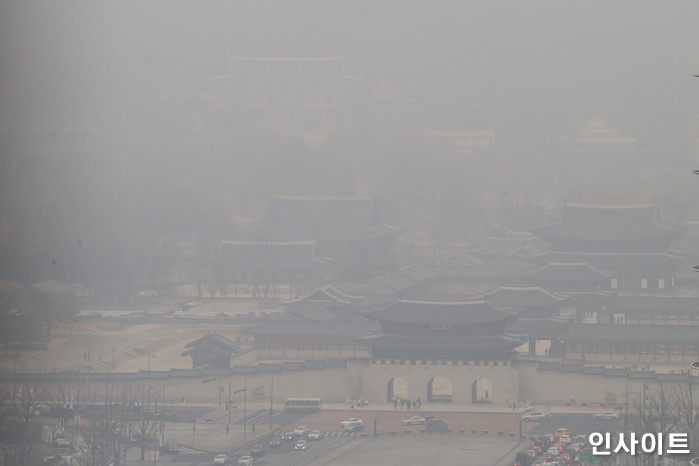 인사이트 / 사진=인사이트