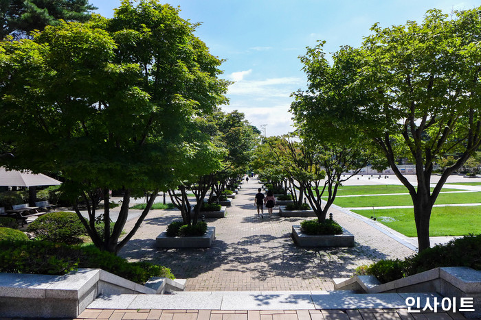 지방 캠퍼스 다니는 대학생이 ‘본캠’인 척할 때 많이 하는 세 가지 행동