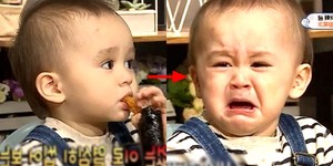 이로 이미지