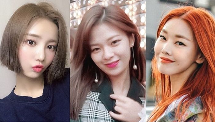 “인생 머리 찾았다”···헤어스타일 ‘확’ 바꾸고 ‘리즈’ 갱신한 스타 5명