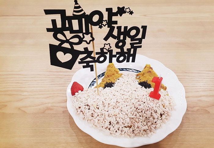 “길에 버려진 ‘유기견’ 데려와 1년 키우고 ‘첫 생일파티’ 열었습니다”