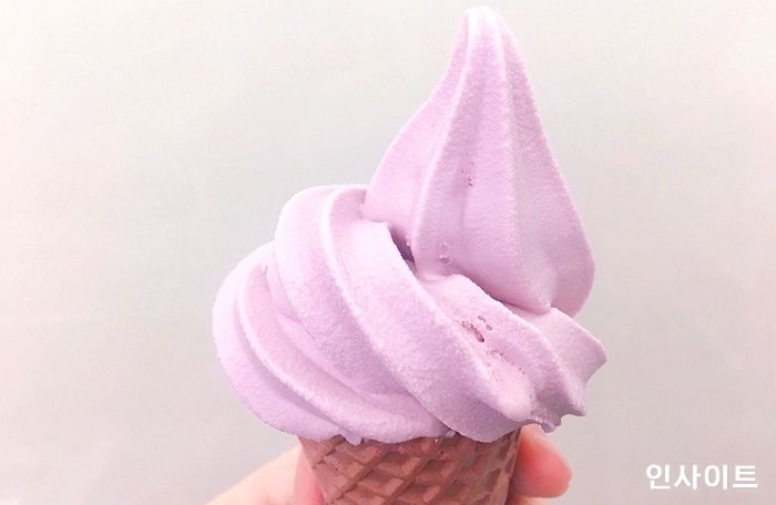 인사이트
