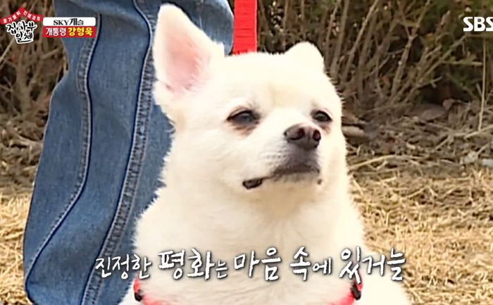 ‘멍 때리기 대회’ 우승자 크러쉬 닮아 틈만 나면 ‘멍’ 때리는 두유