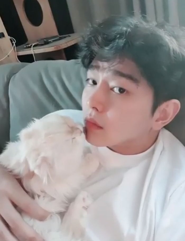 “좋은 아빠가 되어주지 못해 미안해” 반려묘 솜이 ‘무지개다리’ 건넜다고 전한 윤균상